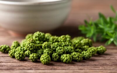 Poivre de Sichuan Vert (100g) : 5 recettes de marinades pour réveiller vos plats